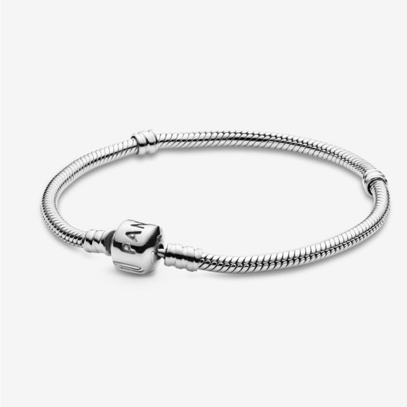 Pandora Snake Chain Silver Bracelet w/ 4 Pandora Charms - Picture 9 of 9